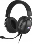 Наушники с микрофоном Acer AHW122 черный 2.1м мониторные USB оголовье (ZL.HDSCC.01U) от магазина РЭССИ