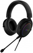 Наушники с микрофоном Acer AHW120 черный 2.1м мониторные USB оголовье (ZL.HDSCC.01C) от магазина РЭССИ