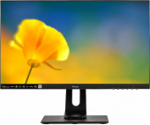 Монитор Iiyama 23.8" ProLite XUB2492HSN-B1 черный IPS LED 16:9 HDMI M/M матовая HAS Piv 250cd 178гр/178гр 1920x1080 DP FHD USB 5.4кг от магазина РЭССИ