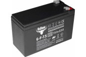Тяговый аккумулятор Rutrike 6-F-75 (12V75A/H C20) 023938 от магазина РЭССИ