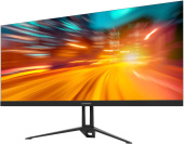 Монитор SunWind 29" SM-29FI202 черный IPS LED 5ms 21:9 HDMI M/M матовая 300cd 178гр/178гр 2560x1080 75Hz DP WQ 3.7кг от магазина РЭССИ