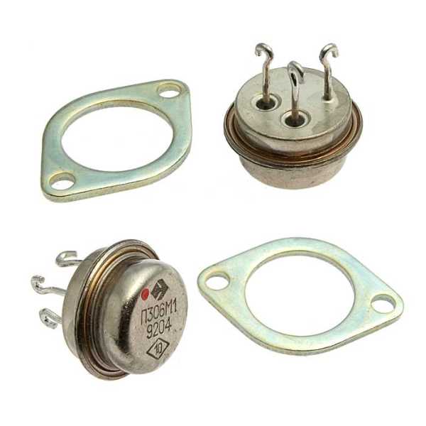 П306М1 от магазина РЭССИ