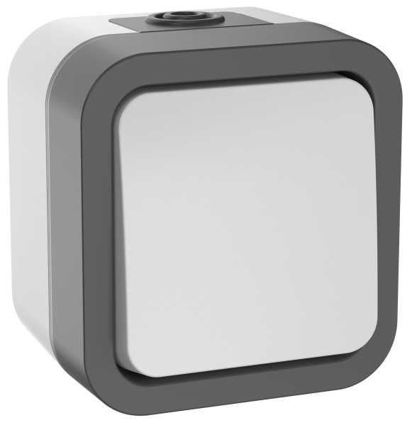 TORS Переключатель одноклавишный 10А IP55 TS201 серо-белый от магазина РЭССИ