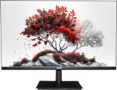 Монитор RDW Computers 27" RDW2701K черный IPS 5ms 16:9 HDMI 1000:1 300cd 178гр/178гр 1920x1080 100Hz VGA DP FHD (RUS) от магазина РЭССИ