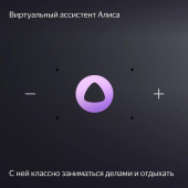 Умная колонка Yandex Станция Миди YNDX-00054GRY Алиса серый 24W 1.0 BT/Wi-Fi 10м от магазина РЭССИ
