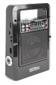 Радиоприемник портативный Сигнал Vikend Picnic черный USB SD/MMC от магазина РЭССИ