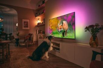 Телевизор LED Philips 50" 50PUS8808/12 Android TV светло-серебристый 4K Ultra HD 120Hz DVB-T DVB-T2 DVB-C DVB-S DVB-S2 USB WiFi Smart TV от магазина РЭССИ