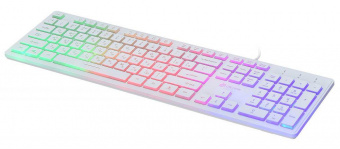 Клавиатура Оклик 550ML белый USB slim Multimedia LED от магазина РЭССИ