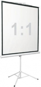 Экран 200x200см Digis Kontur-D DSKD-1106 1:1 напольный рулонный от магазина РЭССИ