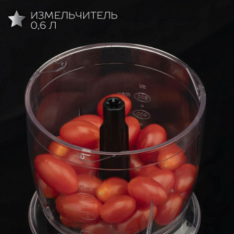 Блендер погружной Scarlett Silver Line SC-HB42F73 1000Вт черный от магазина РЭССИ