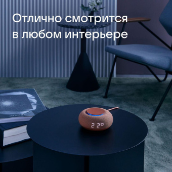 Умная колонка VK Капсула Мини Маруся терракотовый 5W 1.0 BT 10м (MRC02PK) от магазина РЭССИ