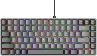 Клавиатура Оклик K615X механическая черный/серебристый USB Multimedia for gamer LED (1934413) от магазина РЭССИ