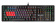 Картинка Клавиатура A4Tech Bloody B820R Dual Color механическая черный/серый USB for gamer LED (B820R GREY (BLUE SWITCH)) от магазина РЭССИ Клавиатура A4Tech Bloody B820R Dual Color механическая черный/серый USB for gamer LED (B820R GREY (BLUE SWITCH)) от магазина РЭССИ