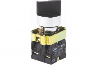 Переключатель NP2-BDхх (21 1NO Черный  2 положения с фиксацией 574847) от магазина РЭССИ