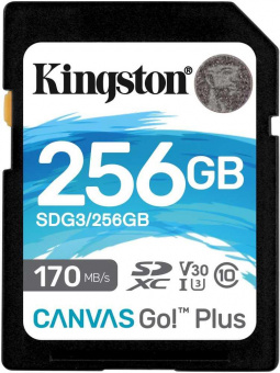 Флеш карта SDXC 256Gb Class10 Kingston SDG3/256GB Canvas Go! Plus w/o adapter от магазина РЭССИ
