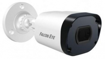Камера видеонаблюдения IP Falcon Eye FE-IPC-BP2e-30p 3.6-3.6мм цветная корп.:белый от магазина РЭССИ