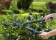 Картинка Ножницы для живой изгороди Gardena EasyCut черный/синий (12301-20.000.00) от магазина РЭССИ Ножницы для живой изгороди Gardena EasyCut черный/синий (12301-20.000.00) от магазина РЭССИ