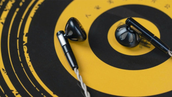 Наушники вкладыши Fiio FF5 1.2м черный проводные в ушной раковине от магазина РЭССИ