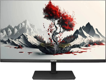 Монитор RDW Computers 23.8" RDW2401K черный IPS 5ms 16:9 HDMI M/M матовая HAS Piv 1000:1 350cd 178гр/178гр 1920x1080 120Hz VGA DP FHD USB 4.185кг (RUS) от магазина РЭССИ