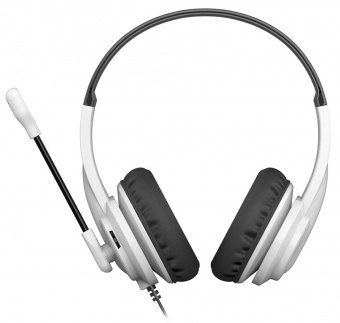 Наушники с микрофоном A4Tech HU-10 черный/белый 2м накладные USB оголовье (HU-10/USB/BLACK+WHITE) от магазина РЭССИ