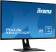Монитор Iiyama 31.5" ProLite XB3270QS-B1 черный IPS 4ms 16:9 DVI HDMI M/M матовая HAS Piv 1200:1 250cd 178гр/178гр 2560x1440 DP 2K 8.6кг от магазина РЭССИ