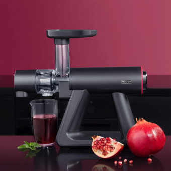 Соковыжималка шнековая Rondell RDE-1503 150Вт рез.сок.:500мл. графит от магазина РЭССИ