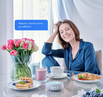 Умная колонка VK Капсула Мини Маруся св.серый 5W 1.0 BT 10м (MRC02GY) от магазина РЭССИ