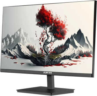 Монитор RDW Computers 23.8" RDW2401K черный IPS 5ms 16:9 HDMI M/M матовая HAS Piv 1000:1 350cd 178гр/178гр 1920x1080 120Hz VGA DP FHD USB 4.185кг (RUS) от магазина РЭССИ