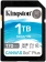 Флеш карта SDXC 1TB Kingston SDG3/1TB Canvas Go! Plus w/o adapter от магазина РЭССИ