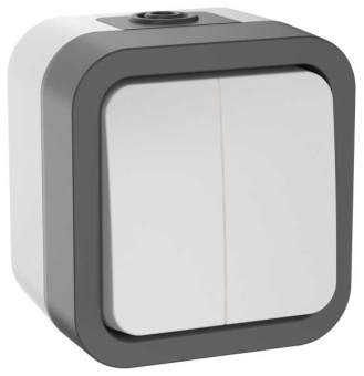 TORS Выключатель двухклавишный 10А IP55 TS205 серо-белый от магазина РЭССИ