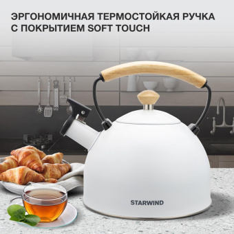 Чайник металлический Starwind Chef Country 2.5л. белый (SW-CH1712) от магазина РЭССИ