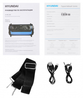 Минисистема Hyundai H-MC200 черный/синий 25Вт FM USB BT SD/MMC от магазина РЭССИ
