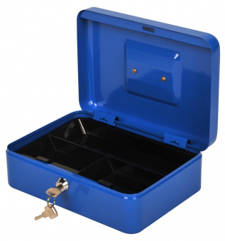 Ящик для денег Cactus CS-CB-003BL 90x250x180 синий от магазина РЭССИ