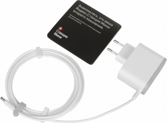 Умная колонка Yandex Станция Мини без часов Алиса серый 10W 1.0 BT 10м (YNDX-00021G) от магазина РЭССИ