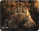 Коврик для мыши Cactus Leopard 250x200x3мм (CS-MP-D06S) от магазина РЭССИ