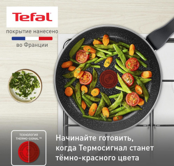 Сковорода Tefal Rock 04235126 круглая 26см покрытие: Mineralia ручка несъемная (без крышки) черный от магазина РЭССИ