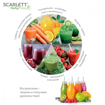 Соковыжималка шнековая Scarlett DailyPress SC-JE50S59 130Вт рез.сок.:600мл. белый от магазина РЭССИ