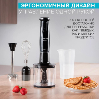 Блендер погружной Scarlett SC-HB42F12 1000Вт черный от магазина РЭССИ