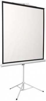 Экран 200x200см Digis Kontur-D DSKD-1106 1:1 напольный рулонный от магазина РЭССИ