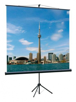 Экран на треноге Lumien 160x160см Eco View LEV-100105 1:1 напольный рулонный от магазина РЭССИ