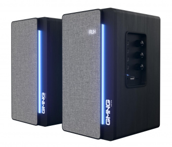 Колонки GMNG OK-603 2.0 черный 50Вт BT от магазина РЭССИ