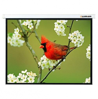 Экран Lumien 171x128см Master Picture LMP-100108 4:3 настенно-потолочный рулонный белый от магазина РЭССИ