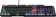 Клавиатура MSI VIGOR GK41 DUSK LR RU механическая черный/серый USB Multimedia for gamer LED (S11-04RUB01-CLA) от магазина РЭССИ