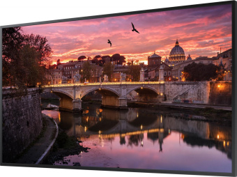 Панель Samsung 55" QB55B черный VA LED 8ms 16:9 DVI HDMI M/M матовая 350cd 178гр/178гр 3840x2160 DP RCA 4K USB 18.1кг (RUS) от магазина РЭССИ