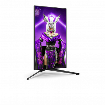 Монитор AOC 24.5" Gaming AG254FG черный IPS LED 16:9 HDMI M/M матовая HAS Piv 400cd 178гр/178гр 1920x1080 360Hz G-Sync DP FHD USB 6.36кг от магазина РЭССИ