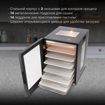 Сушка для фруктов и овощей Hyundai HYFD-8803 28под. 850Вт черный от магазина РЭССИ