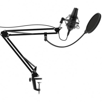 Микрофон проводной Ritmix RDM-180 2.5м черный от магазина РЭССИ