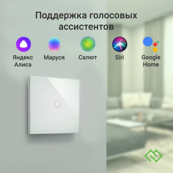 Умный выключатель Digma DiSwitch 1p 1-нокл. универсальный белый (DSW1P) от магазина РЭССИ