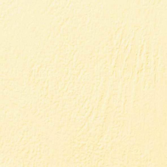 Обложки для переплёта GBC A4 250г/м2 слоновая кость (100шт) LeatherGrain (CE040065) от магазина РЭССИ