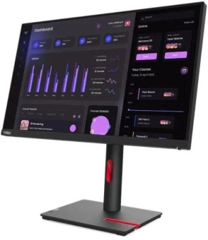 Монитор Lenovo 23.8" ThinkVision T24i-30 черный IPS LED 4ms 16:9 HDMI матовая HAS Piv 250cd 178гр/178гр 1920x1080 60Hz VGA DP FHD USB 5.4кг от магазина РЭССИ